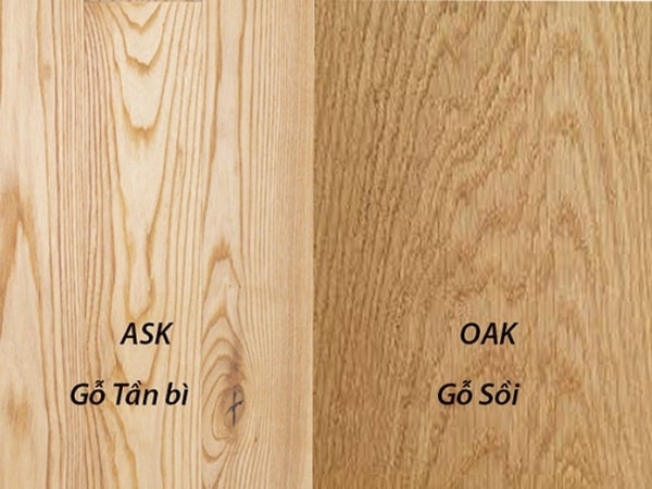 Cách phân biệt gỗ tần bì và gỗ sồi